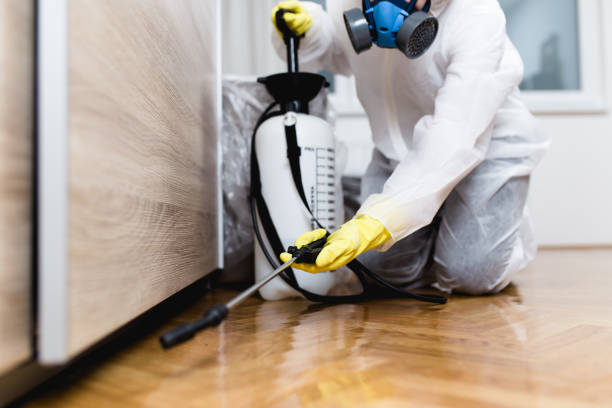Best Flea Control Services  in Hillsborough, CA