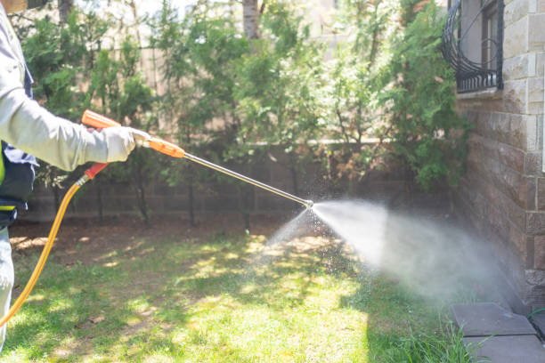 Best Pest Control Near Me in Hillsborough, CA